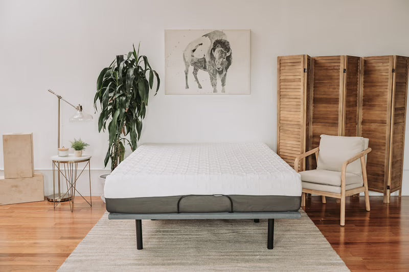 Sleep & Bedding