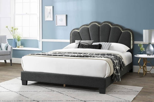 Charcoal LED Shell Queen Bed
